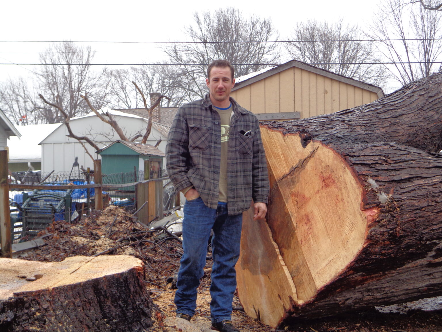 Tree care worker standing beside a large cut trunk