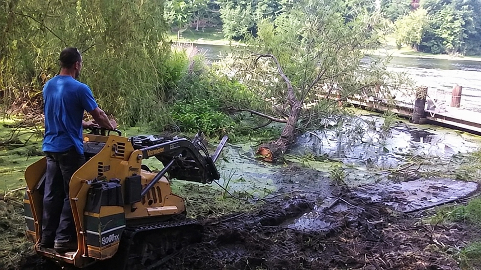 Tracked equipment moving tree branches at a lakeside property